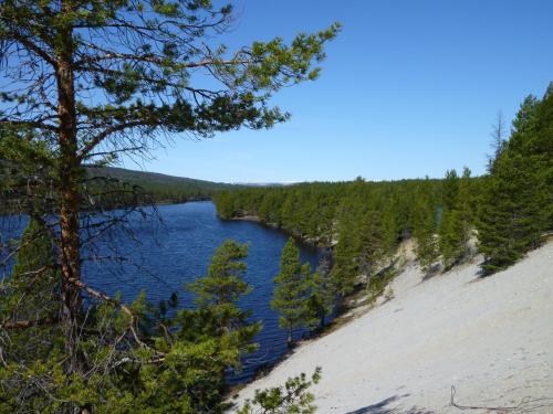 Unicare Røros Gjesteovernatting - image 10