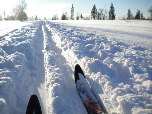 Unicare Røros Gjesteovernatting - main image