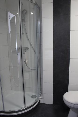 Studios near Basel Airport - image 4