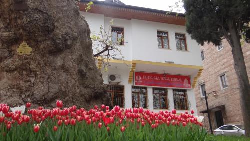 Hotel in Bursa