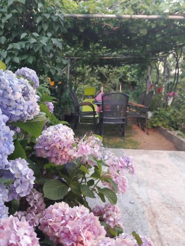 Georgievi Guest House - image 2