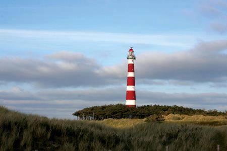 the Lighthouse - image 2