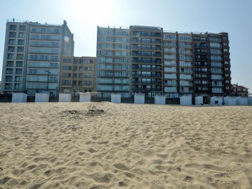  Apartment Westende, Pension in Westende