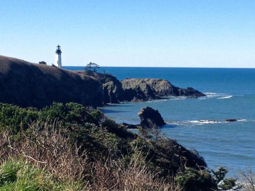 The Lighthouse at Starfish Cove