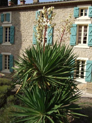 B&B Greffeil - Domaine Saint Andrieu - Bed and Breakfast Greffeil