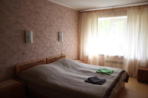 Cottage in Pushkinskie Gory - image 4