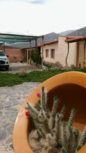 Cabanas Casa de colores in Maimara