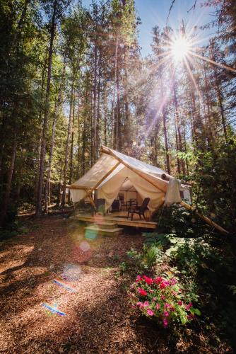 Cedar Haven Cabins and Resort