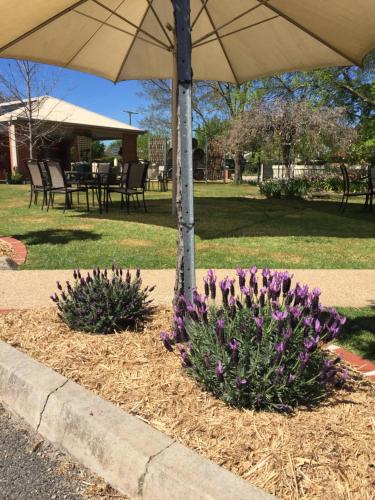 Wine Village Motor Inn Wine Village Motor Inn is perfectly located for both business and leisure guests in Rutherglen. Featuring a satisfying list of amenities, guests will find their stay at the property a comfortable one.