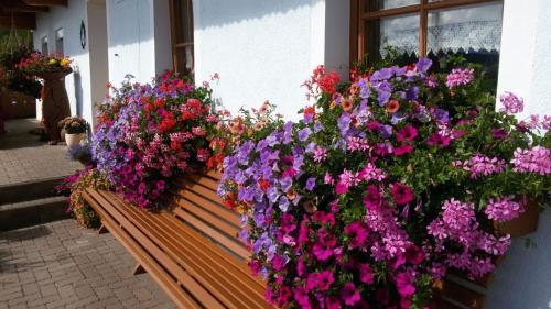 Urlaub am Raderhof in der Ferienregion Lungau