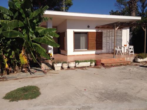  Τhe banana tree beach house in Marathón