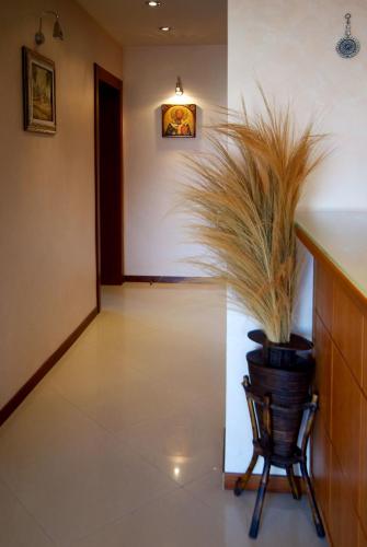 Hotel Saint Nikola - image 2