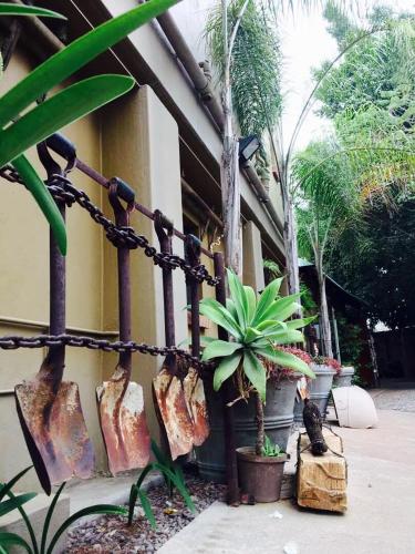 

Olive Leaves Guest House