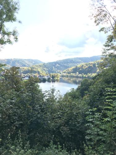 Pöhl am Nationalpark Eifel - image 11
