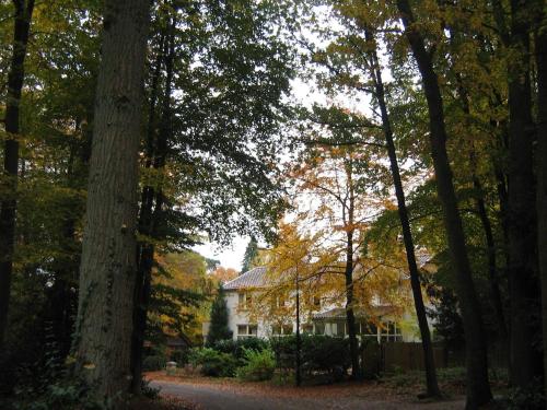 Garden, In de aap gelogeerd in Apeldoorn West