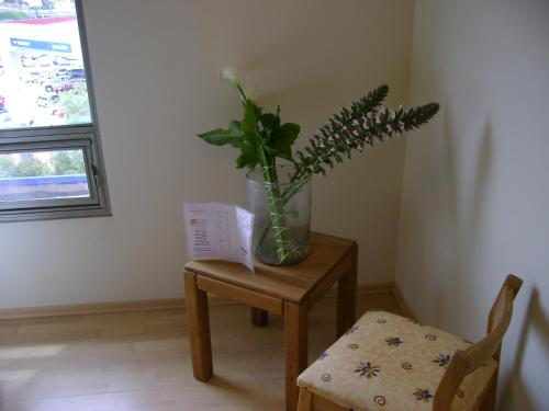 Hotel Plaza Zacatecas图片