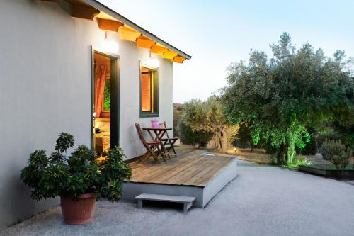 Olive Grove - Kionia