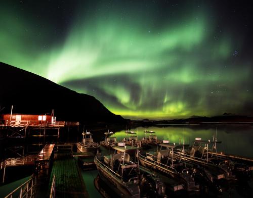 Omgivelser, Lofoten Basecamp in Leknes