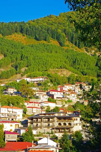 Hotel La Munte Mountain Resort in Anilio