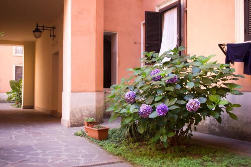 Vespucci Rome Testaccio Home - image 11