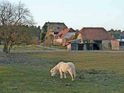 Elgersheimer Hof in Volkach, Deutschland