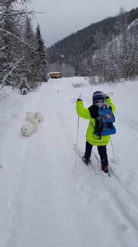 Leilighet i Åmotsdal