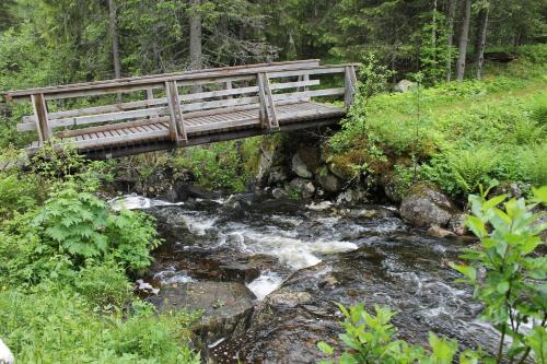 Leilighet i Åmotsdal