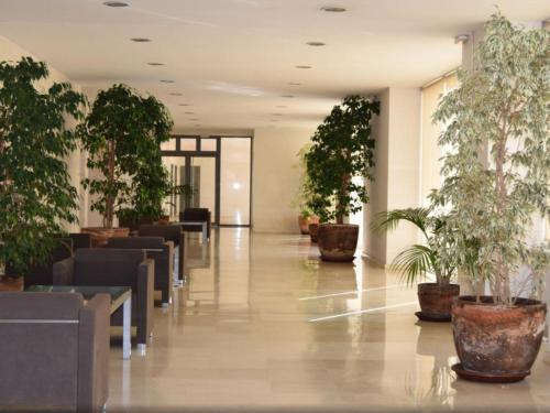 avla, estudio santa maria in El Puerto de Santa Maria Center
