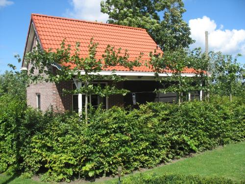 Vakantiewoning de Boshoorn