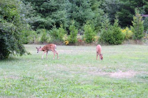 Baileys Sunset Motel – Baileys Harbor, WI