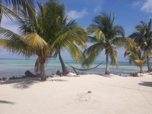 pludmale, Palmento Grove Garifuna Eco-Cultural & Healing Institute in Hopkinsa