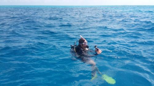 Palmento Grove Garifuna Eco-Cultural & Fishing Institute
