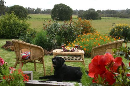 Silversprings cottages Margaret River