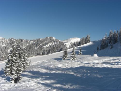 Privatzimmer/Apartments Schwarzenbacher - image 7