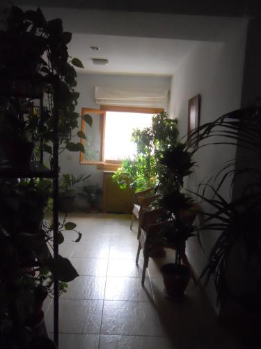 Hostal El Descanso - image 10