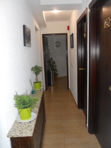 Hostal El Descanso - image 14