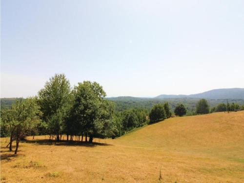  Two-Bedroom Apartment in Ribnik in Ribnik
