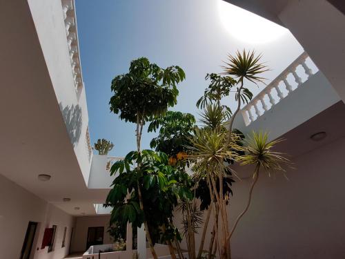 Apartamentos Tisalaya - image 3