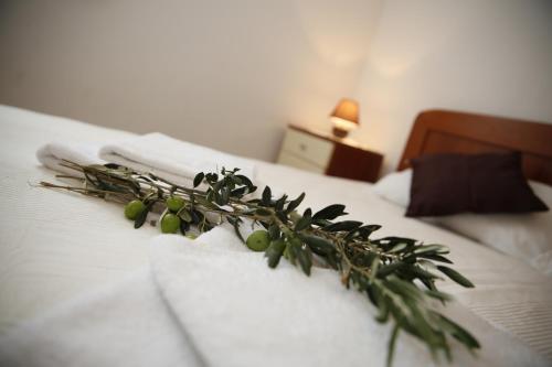 Apartman Alica Srima