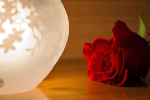 Hotel Villa Il Castagno - image 12