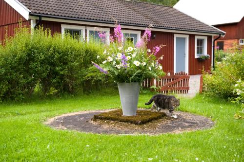 Viesnīcas āriene, Ekologiska Fru Gran B&B i Tiveden in Gardsjo