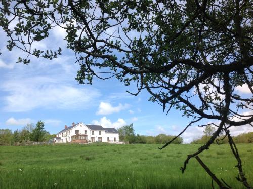 Penddaulwyn Uchaf, , West Wales