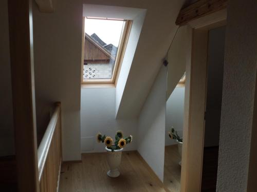 ทัศนียภาพ, Fewo-Lenz in พาสเรียค