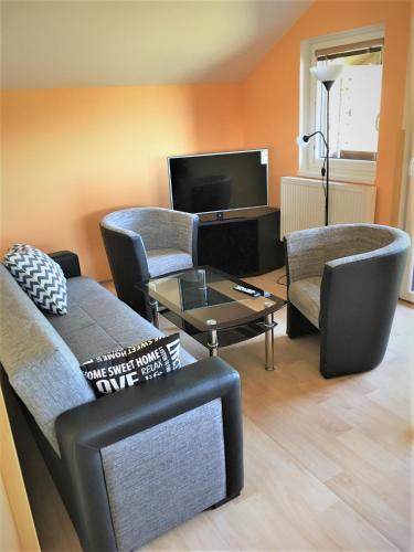 ห้องส่วนกลางสำหรับนั่งเล่น/ดูทีวี, PENZION HNAČOV (PENZION HNACOV) in ซบีโร