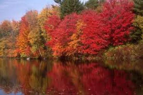 Bed and Breakfast Maison Ruthier – Waimes, MI