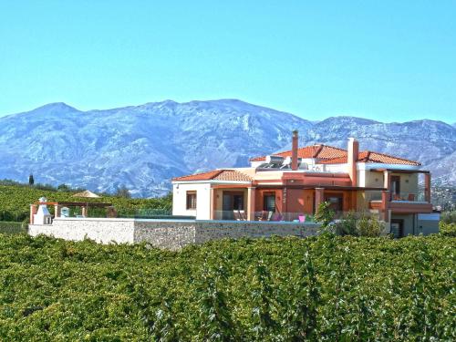 Cretan Vineyard Hill Villa