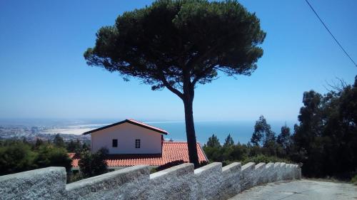  Logra-Sol in 3080-378 Figueira da Foz