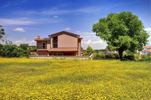 Villa Rovigno - image 4