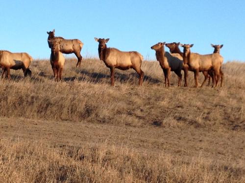 Фасада на хотела, ReWild Ranch LLC in Sargent