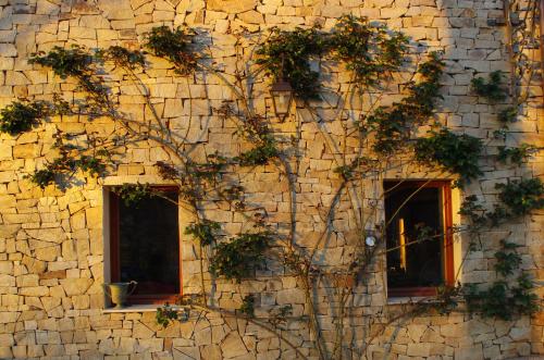Auberge les Tables du Ban photo 16